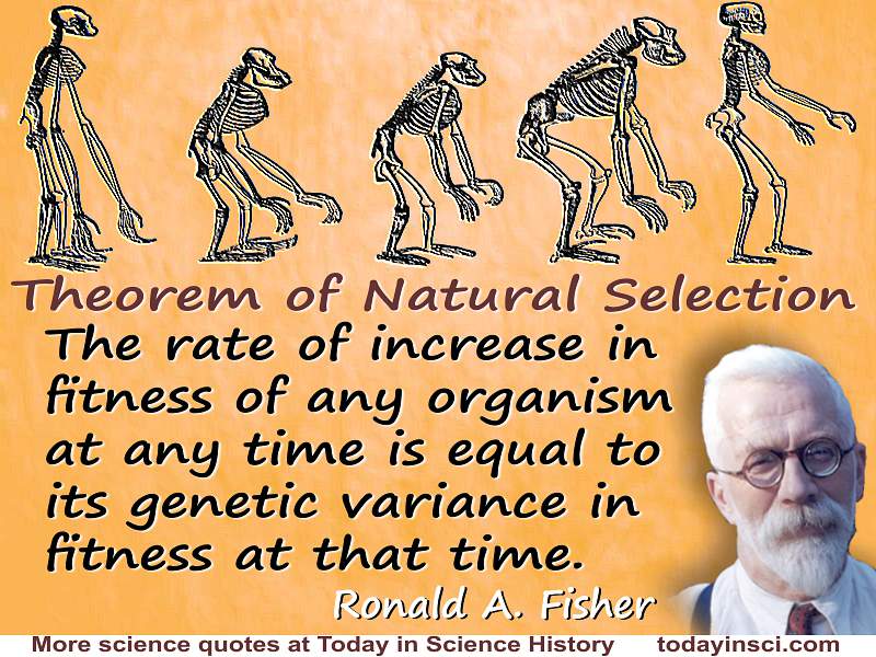 Ronald Aylmer Fisher quote “Fundamental Theorem of Natural Selection”
