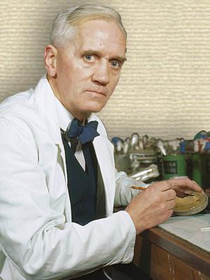 Photo of Alexander Fleming upper body facing front, seated at lab bench, hands on bench holding petri dish and scalpel