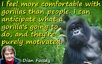 Dian Fossey quote I feel more comfortable with gorillas