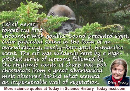 Dian Fossey quote My first encounter with gorillas