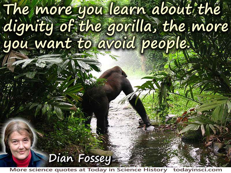 Dian Fossey quote The dignity of the gorilla