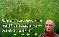 Jane Goodall quote Some humans are mathematicians