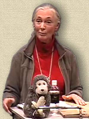 Jane Goodall speaking at a TED talk, upper body. A toy chimpanzee is on the podium.