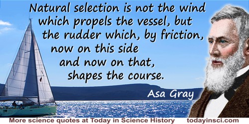 Asa Gray quote: Natural selection is not the wind which propels the vessel, but the rudder which, by friction, now on this side 