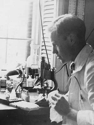 Photo of Alan Gregg in white lab coat, seated looking left, at lab bench covered with glassware, using microscope