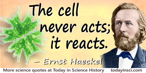 Ernst Haeckel quote: The cell never acts; it reacts.