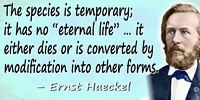 Ernst Haeckel quote: The succession of individuals, connected by reproduction and belonging to a species, makes it possible for 