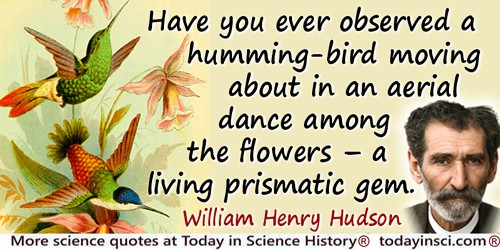 William Henry Hudson quote: Have you ever observed a humming-bird moving about in an aerial dance among the flowers