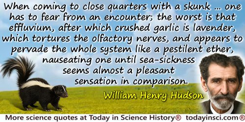 William Henry Hudson quote: When coming to close quarters with a skunk