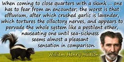 William Henry Hudson quote: When coming to close quarters with a skunk