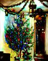 Thumbnail - Christmas tree lights