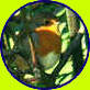 Thumbnail -