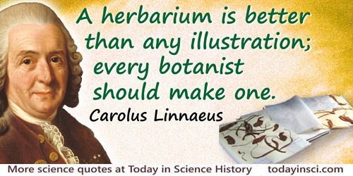Carolus Linnaeus quote: A herbarium is better than any illustration; every botanist should make one.