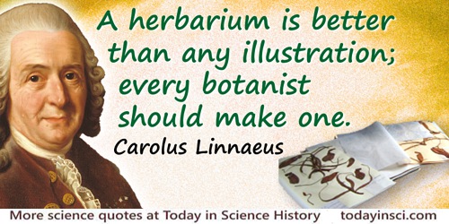 carolus linnaeus quotes