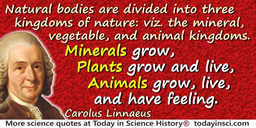 Carolus Linnaeus quote: Natural bodies are divided into three kingdoms of nature: viz. the mineral, vegetable, and animal kingdo
