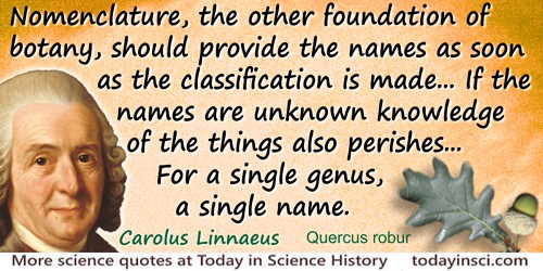 Carolus Linnaeus quote: Nomenclature, the other foundation of botany, should provide the names as soon as the classification is 