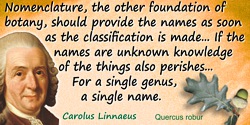 Carolus Linnaeus quote: Nomenclature, the other foundation of botany, should provide the names as soon as the classification is 