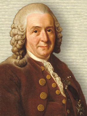 Carolus Linnaeus portrait, head and shoulders, facing front