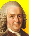 Thumbnail - Carolus Linnaeus