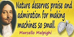 Marcello Malpighi quote Nature deserves praise…for making machines so small