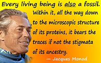 Jacques Monod quote “Every living being is <i>also</i> a fossil.”