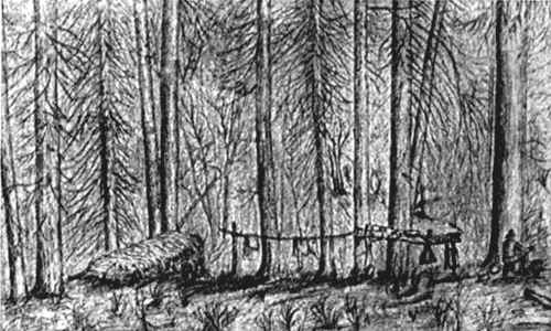 Pencil sketch showing camp in pine trees, a straw bed and clothes or supplies hanging on a horizontal pole lashed between posts