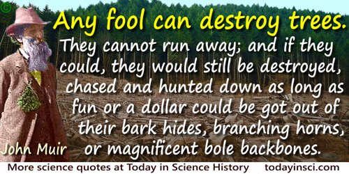 John Muir quote Any fool can destroy trees
