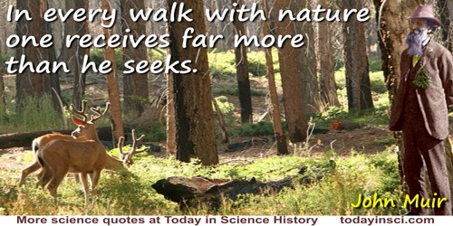 John Muir quote: In every walk with nature one receives far more than he seeks.