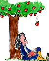 Thumbnail cartoon of Isaac Newton sitting under apple tree with falling apple