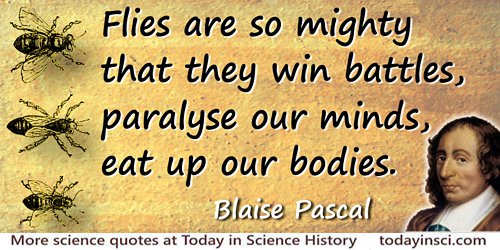 Blaise Pascal quote Flies are so mighty