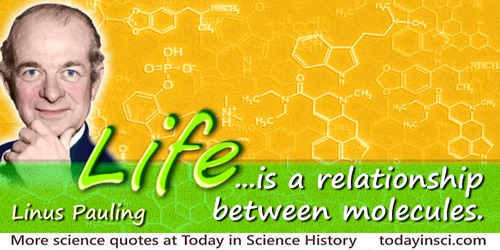 Linus Pauling quote: Life ... is a relationship between molecules.