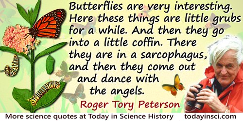 Roger Tory Peterson quote: Butterflies are very interesting. Here these things are little grubs for a while. And then they go in
