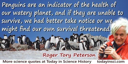 Roger Tory Peterson quote: Penguins are an indicator of the health of our watery planet, and if they are unable to survive, we h