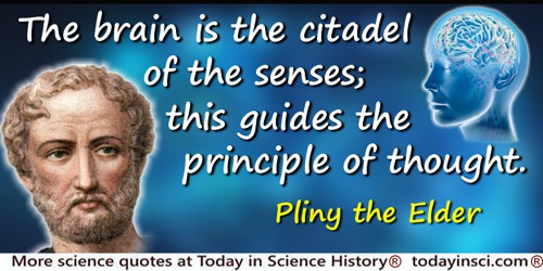 Pliny the Elder quote: The brain is the citadel of the senses; this guides the principle of thought