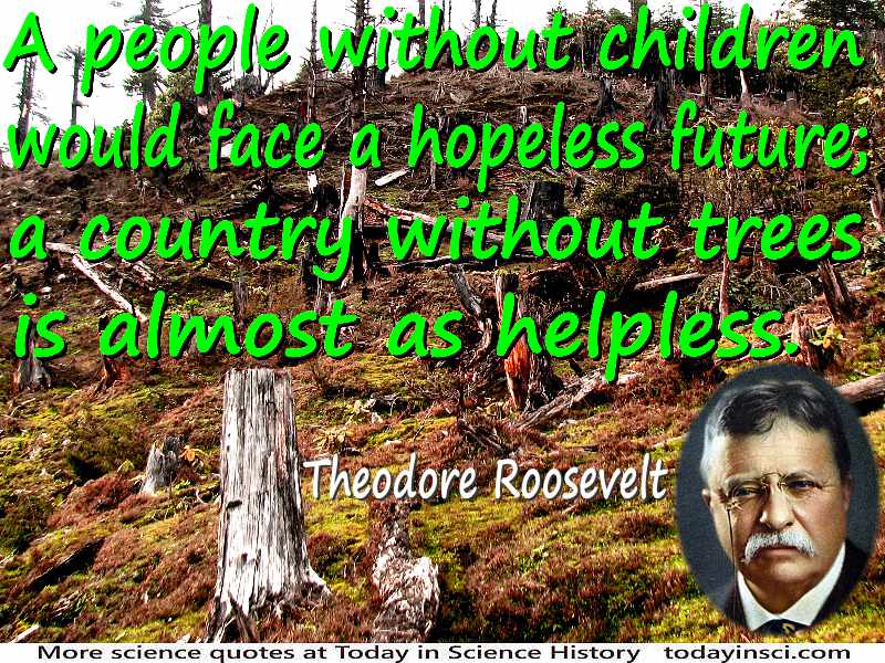 Theodore Roosevelt quote “people without children would face a hopeless future…without trees…as helpless” tree stump background