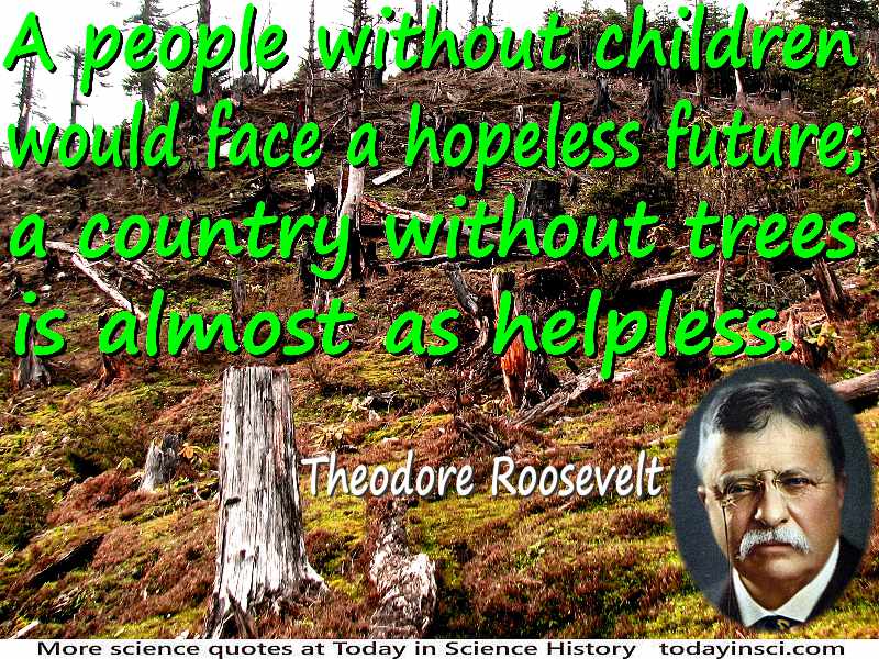 theodore roosevelt famous quotes