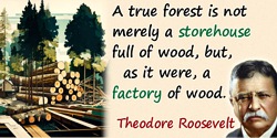 Theodore Roosevelt quote: A true forest is not merely a storehouse full of wood, but, as it were, a factory of wood.