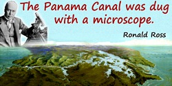 Ronald Ross quote: The Panama Canal was dug with a microscope