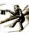 Thumbnail - Scopes monkey trial law repealed