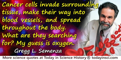 Gregg L. Semenza quote: Cancer cells invade surrounding tissue, make their way into blood vessels, and spread throughout the bod