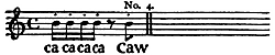 Bird call on a music staff: Four rapid staccato “ca ca ca ca” ended by a “caw”