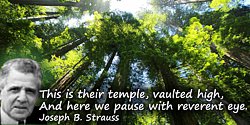 Joseph B. Strauss quote: Redwoods - This is their temple, vaulted high, And here we pause with reverent eye.