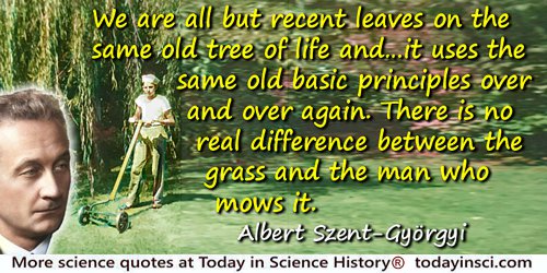 Albert Szent-Gyorgyi quote: We are all but recent leaves on the same old tree of life