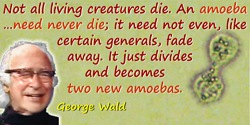 George Wald quote: Not all living creatures die. An amoeba, for example, need never die; it need not even, like certain generals