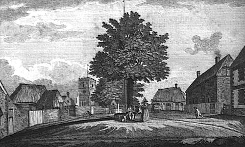 Engraving of Selborne Village Green, thatched cottages encircle a central tree flagpole, villagers, with church in background, 