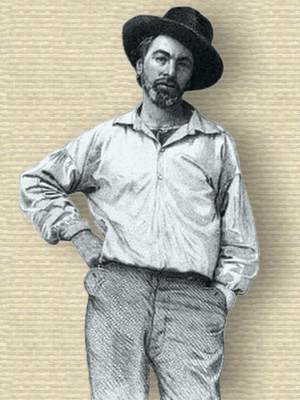 Sketch of Walt Whitman, 2/3 body, facing front, from frontispiece of 1855 edition of Leaves of Grass
