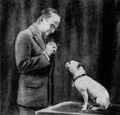 Illustration of Willis Whitney curious about the behaviour of a dog