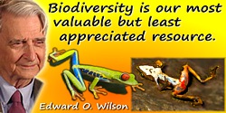 Edward O. Wilson quote: Biodiversity is our most valuable but least appreciated resource.