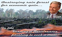 Burned deforestation photo+quote Destroying rain forest for economic gain is like burning a Renaissance painting to cook a meal