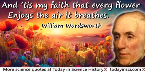 William Wordsworth quote: tis my faith that every flower